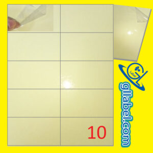 ป้ายฉลากสติ๊กเกอร์พีวีซีใสมุมตรงขนาด 59x105 มม.